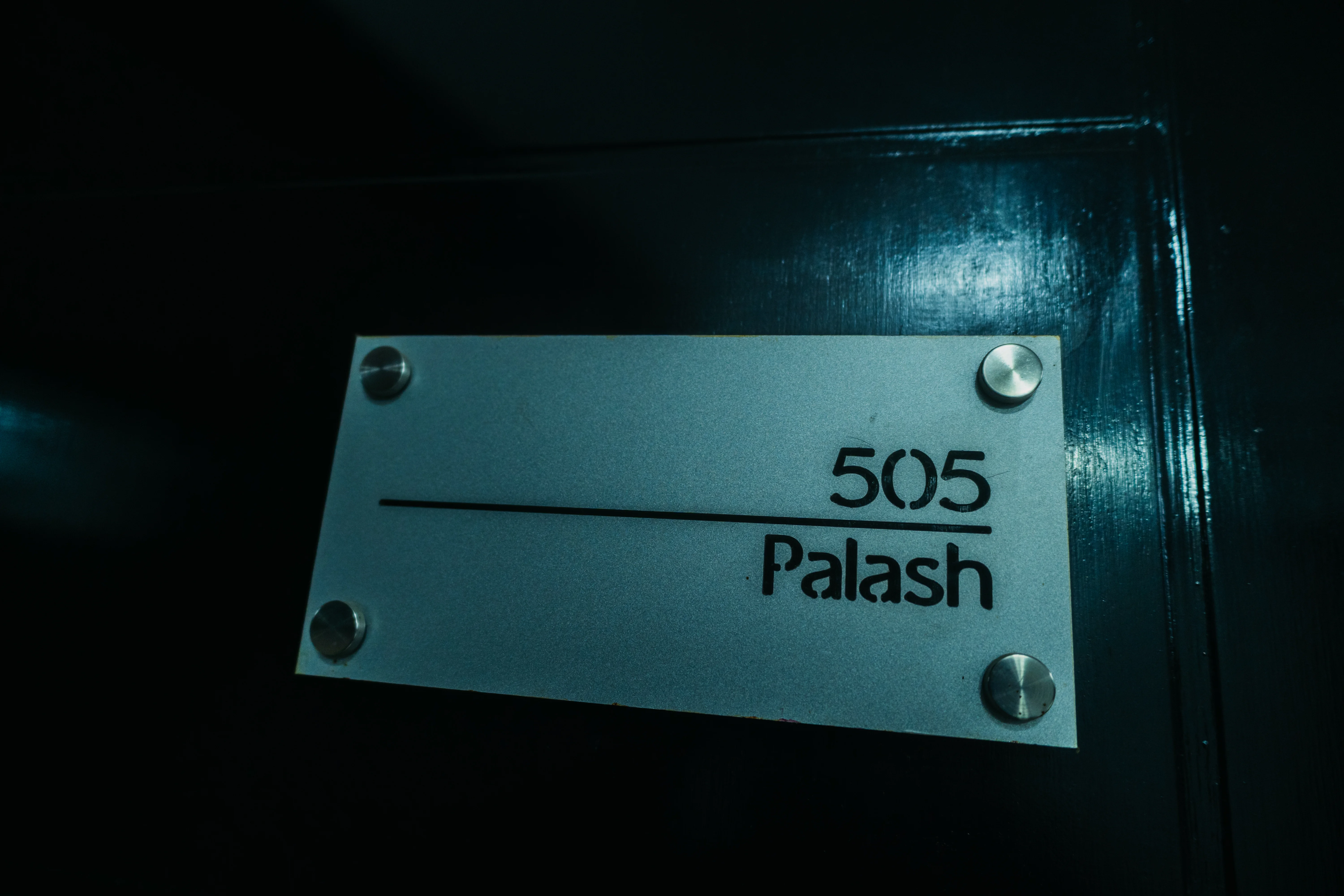 Palash Image 6